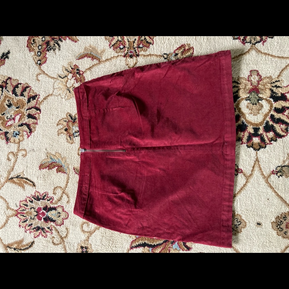 Size 10 Women’s Skirt